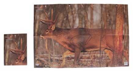 Birchwood Casey Eze-Scorer Deer 23" x 35"-2 Targtes (Folded) 37481